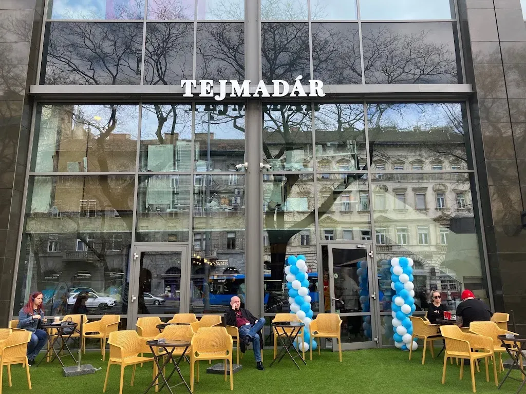 TEJMADÁR Westend