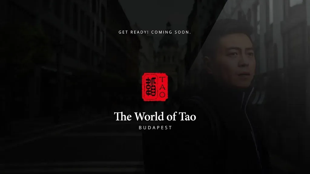 Tao Noodles / Tao oriental market II.