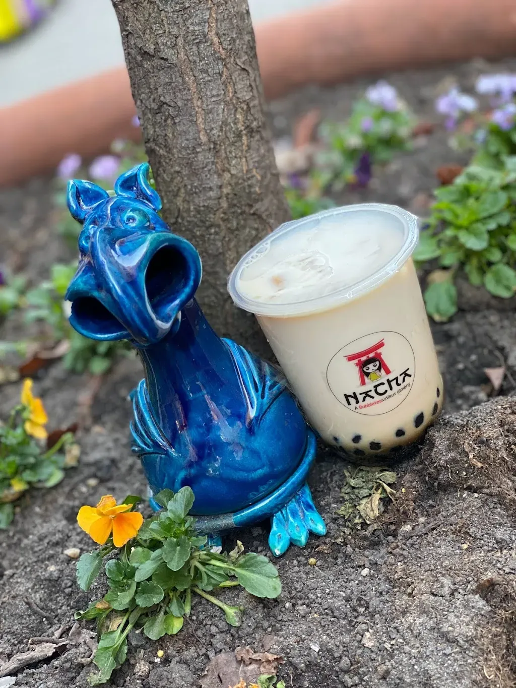 NaCha Bubble Tea