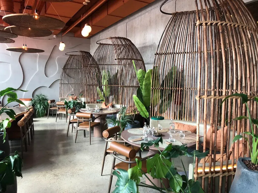 BOHO