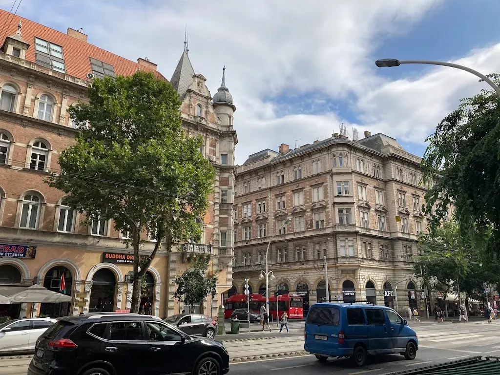 Starbucks Király