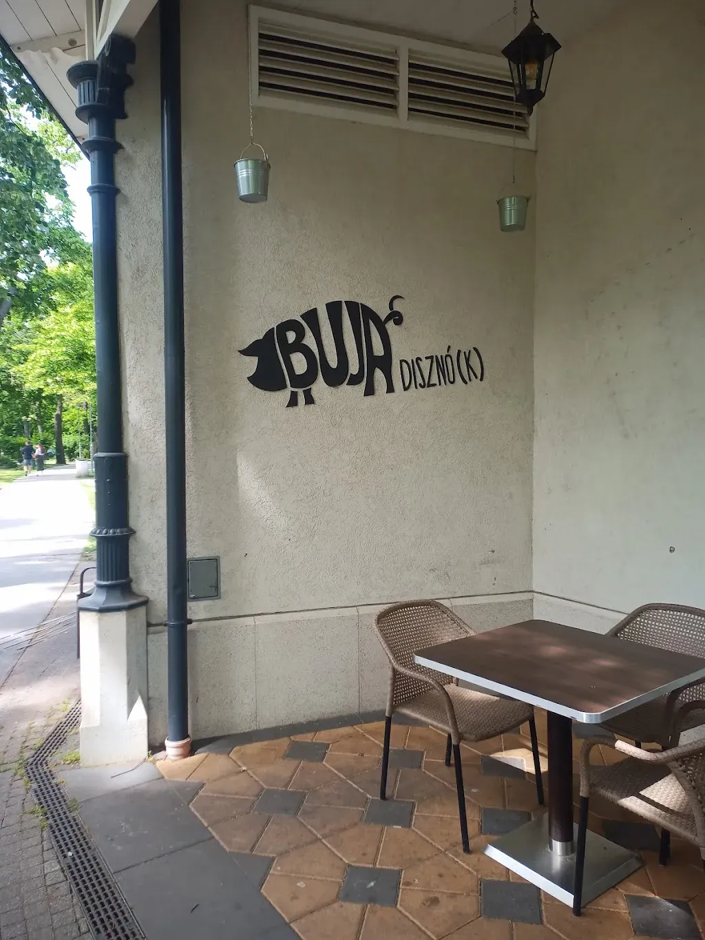 Buja Disznó(k) Liget - A RÁNTOTTHÚS és egyéb disznóságok!