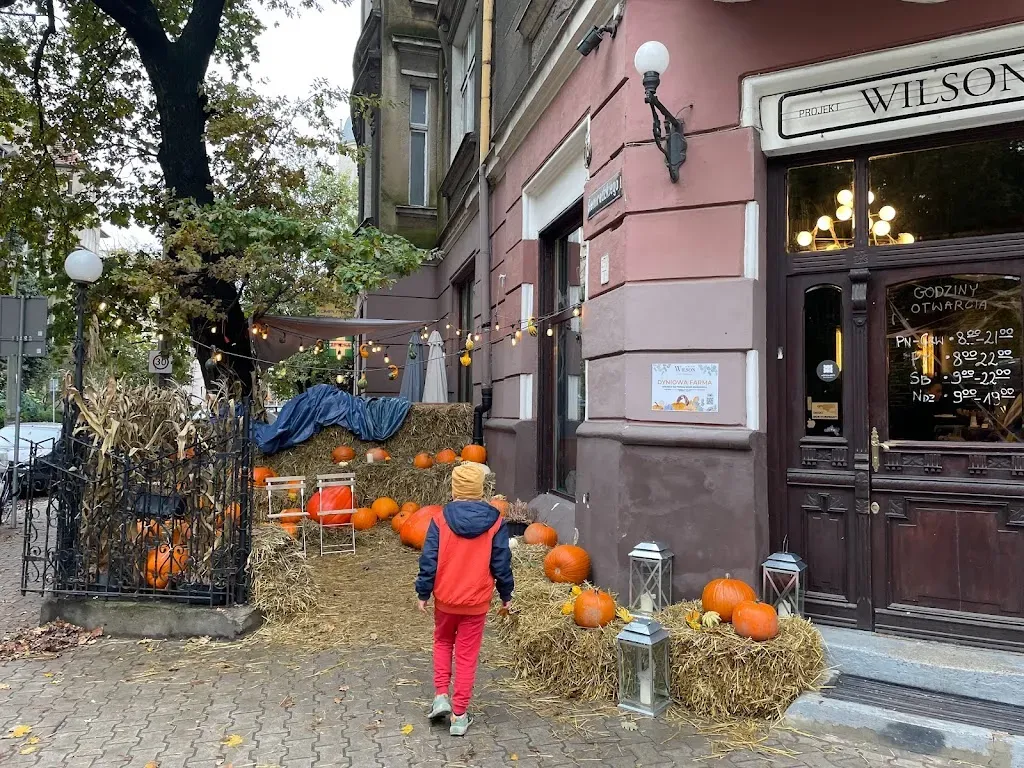 Projekt WILSON Restauracja