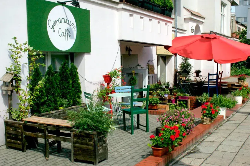 Geranium Vege Kuchnia