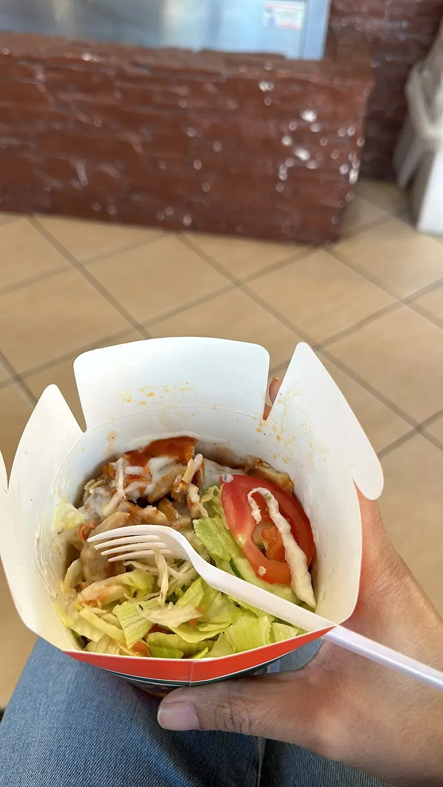 VEKTOR KEBAB