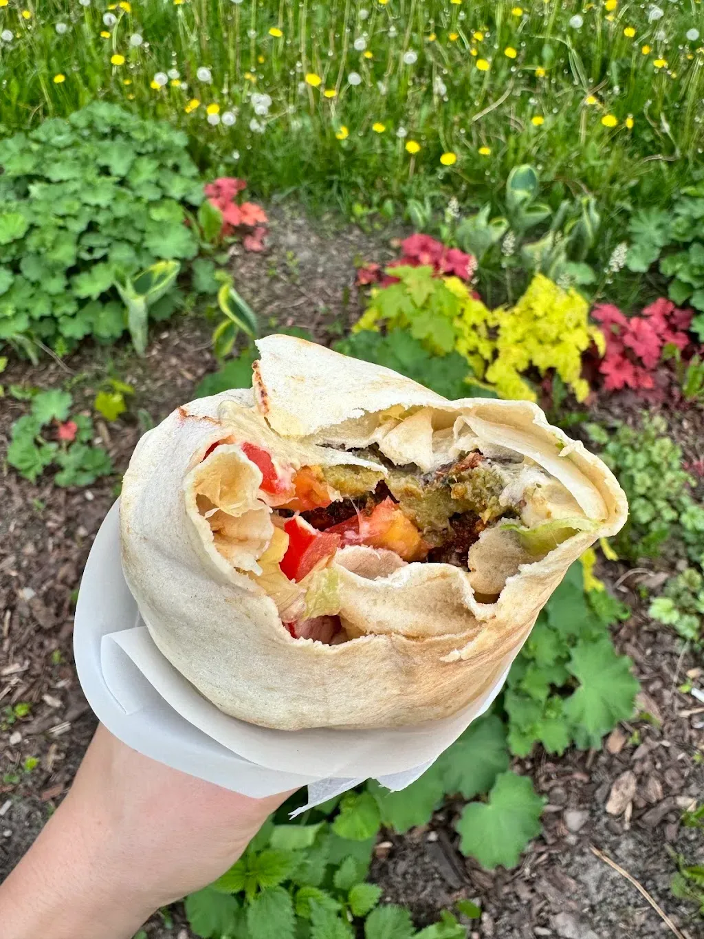 Falafel Papay