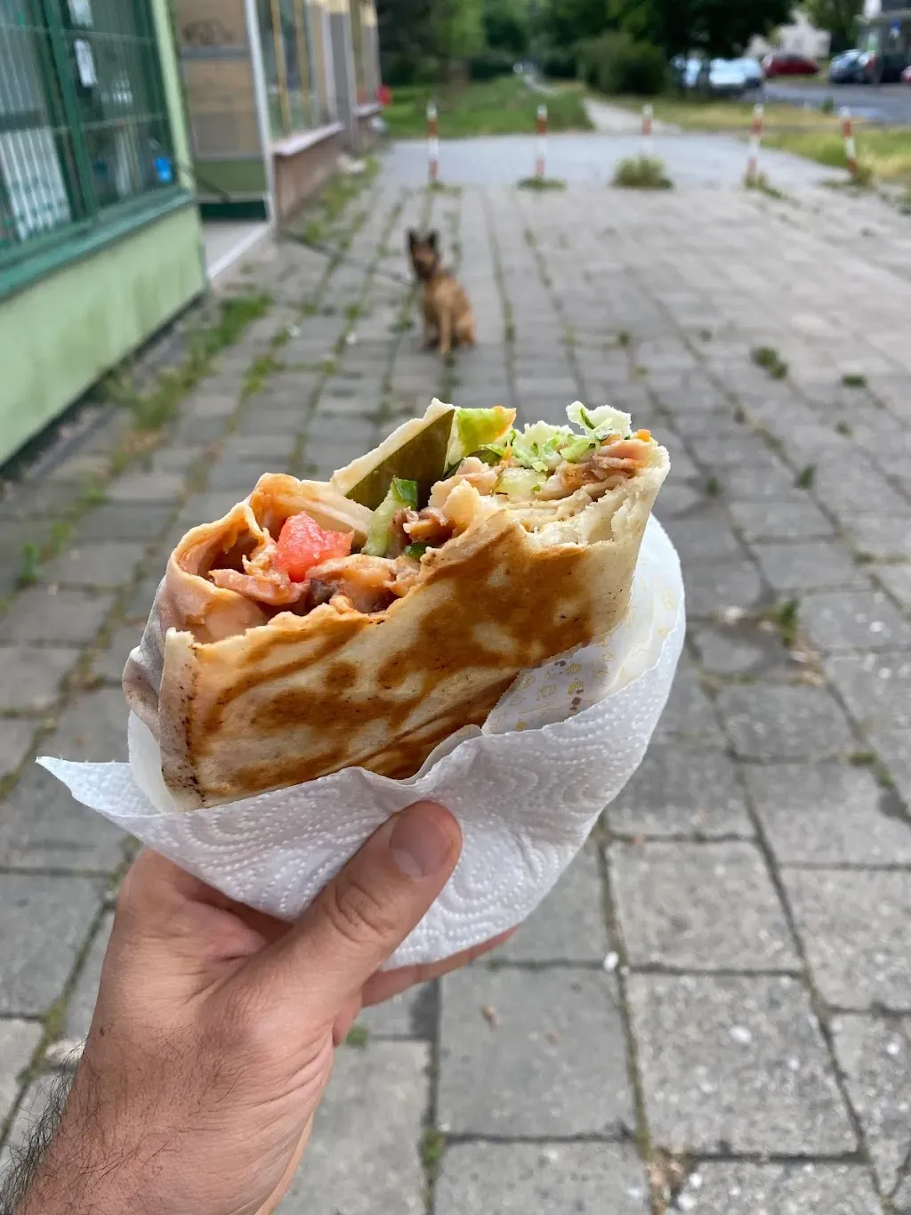 Kebab Sahten