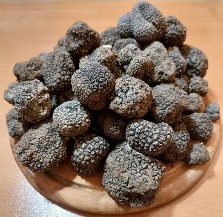 Il Tartufo