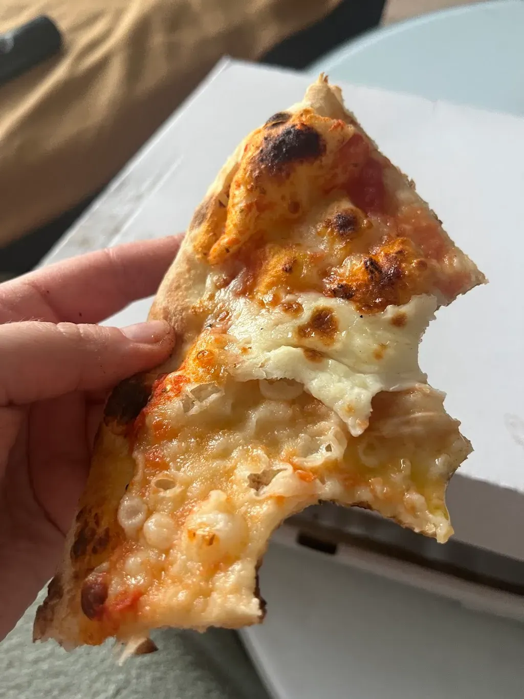 Bella Mozzarella