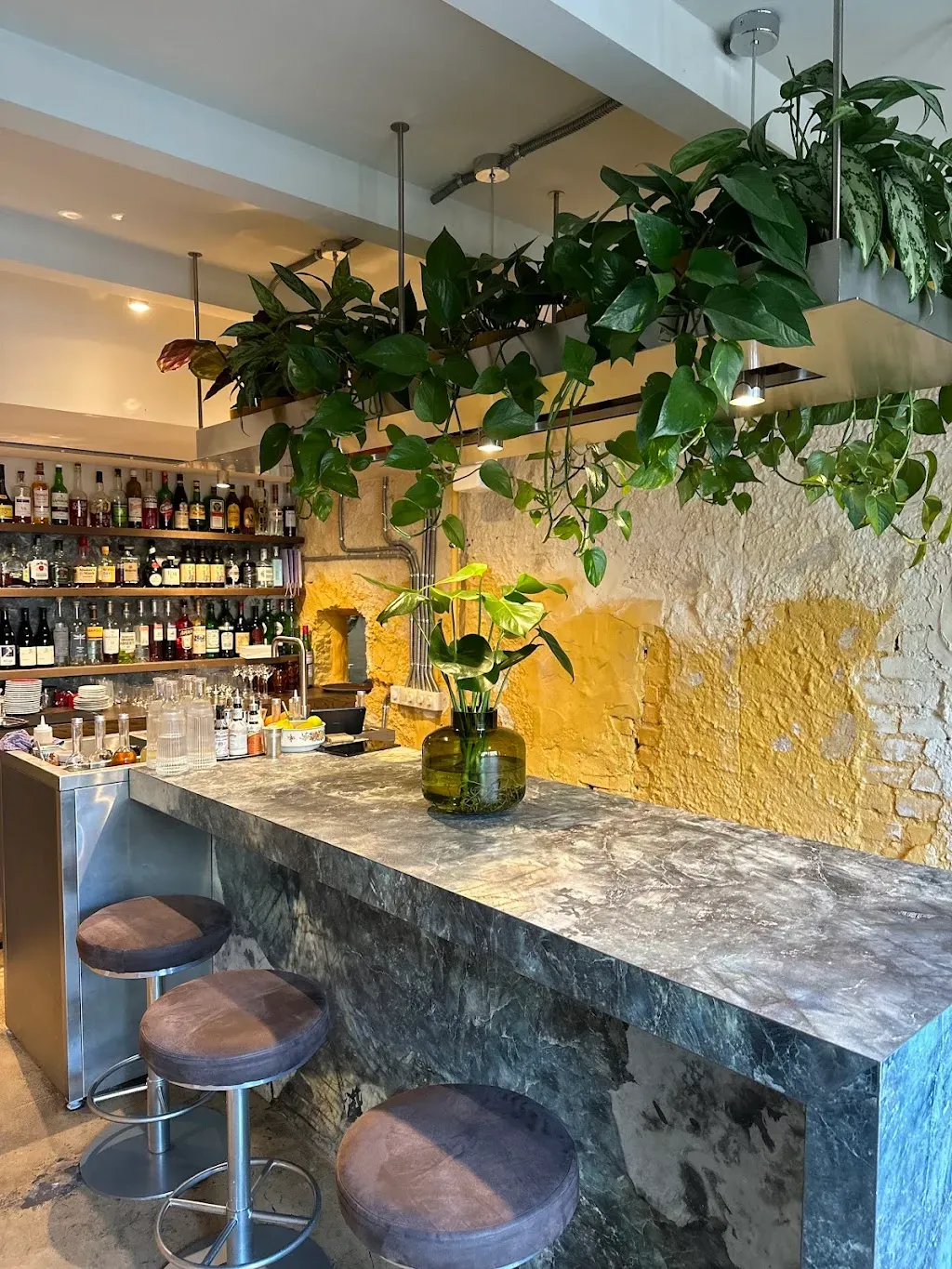Half Bar and Kitchen