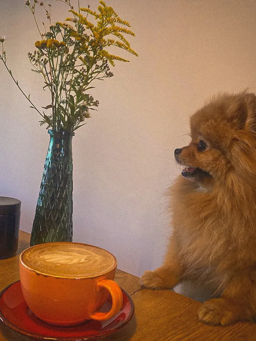 JUST COFFEE