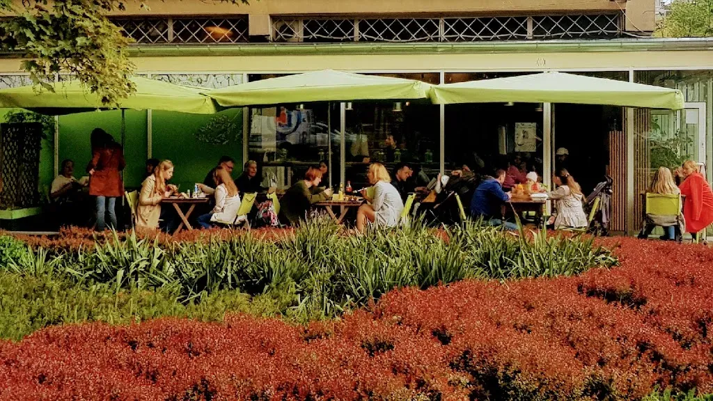 Vege Miasto
