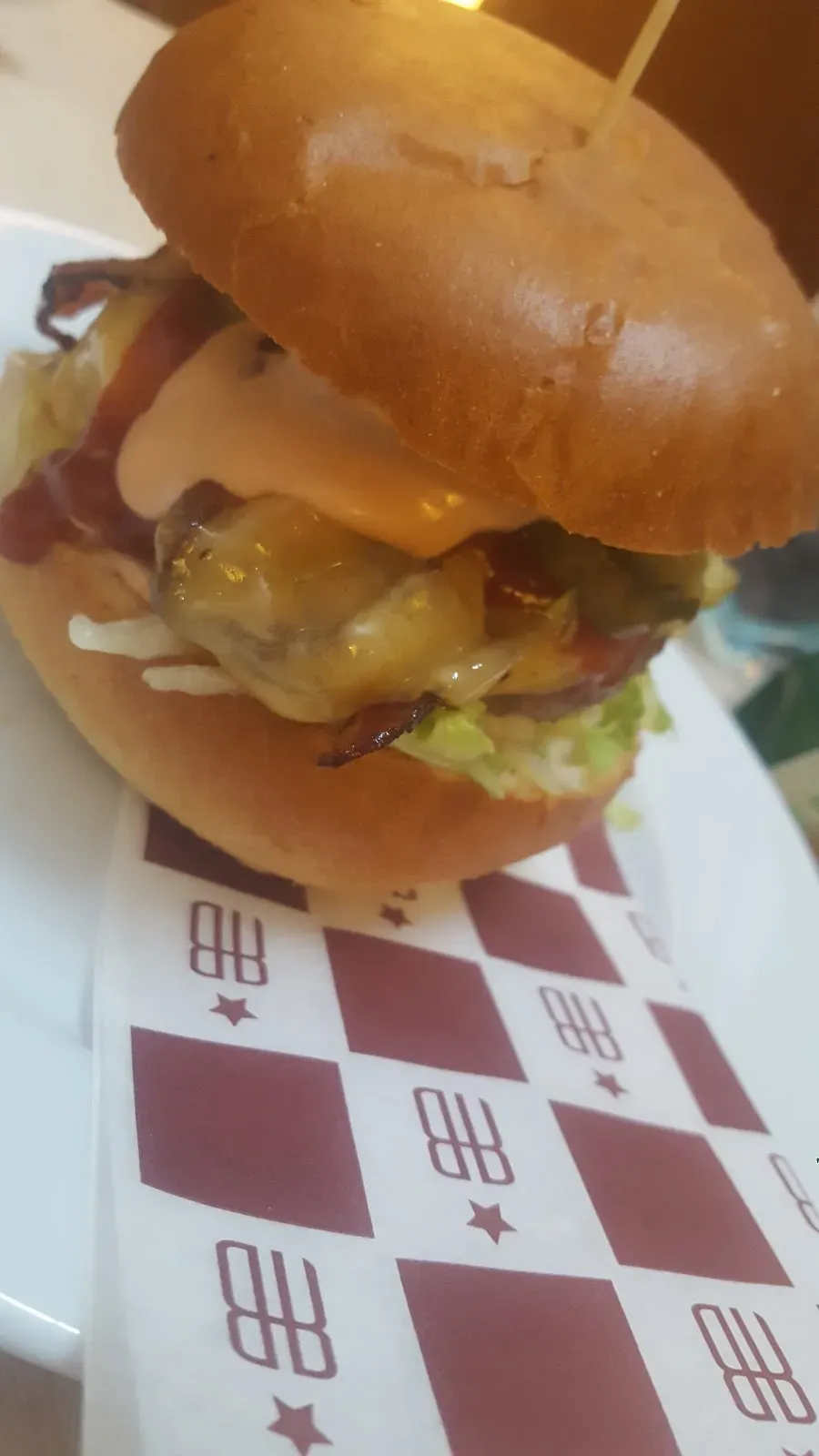 Republika Burgera