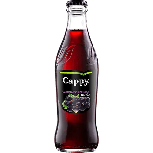 Cappy blackcurrant nectar 0,25l