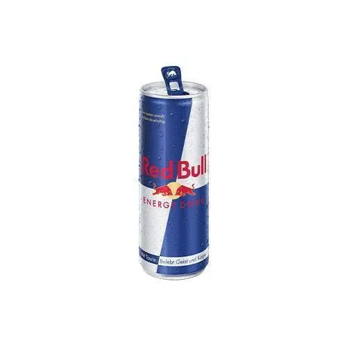 Red Bull 250ml (25ct Pfand)