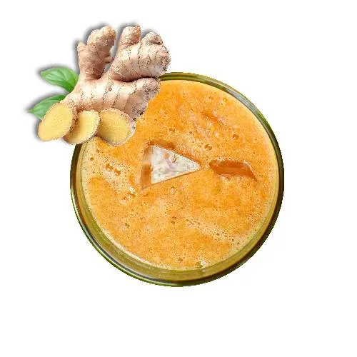 Ingwer-Orange 0,4l