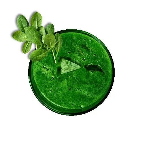 Green Guru 0,4l