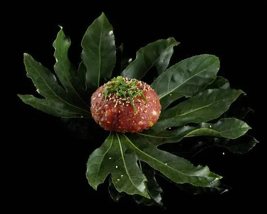 Tatar Tuńczyk
