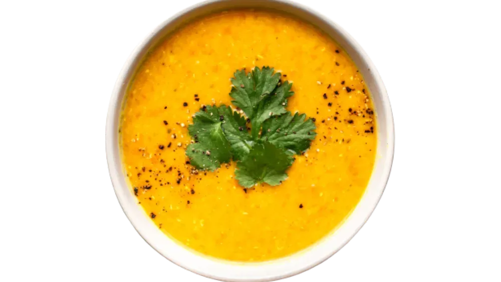 LENTIL SOUP