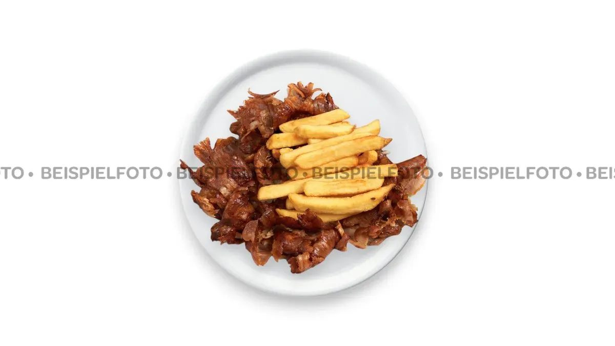 48. Döner Plate with Fries