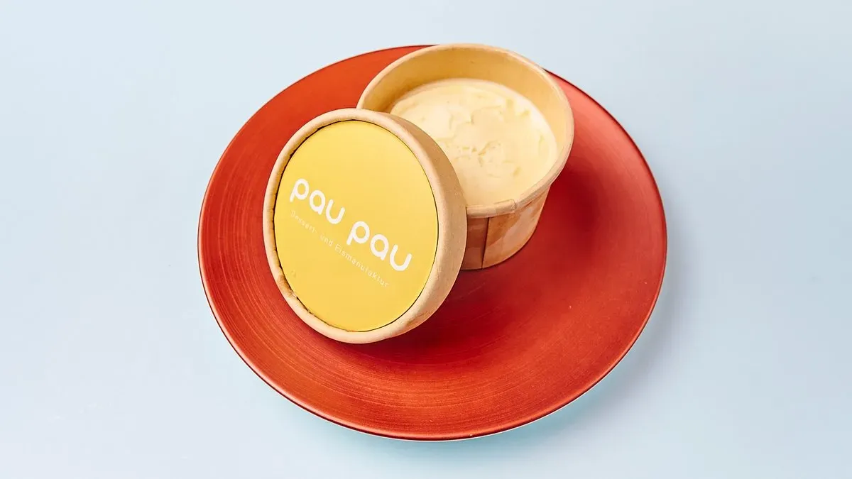 paupau Vanilla Ice Cream 160g