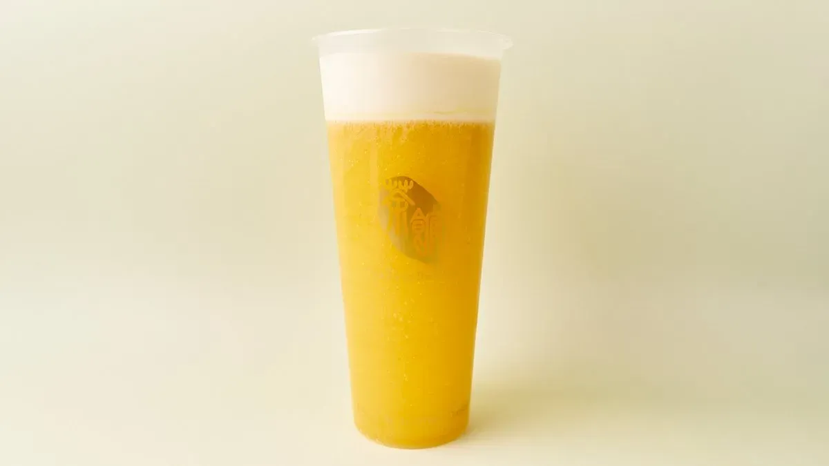 16. Fruit Ice Tea & Cheezo 650ml