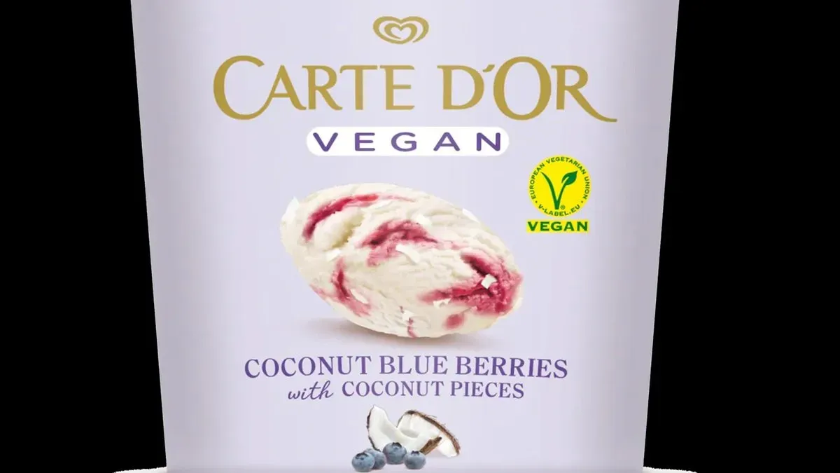 Carte D'or Coconut Blue Berries VEGAN 465ml