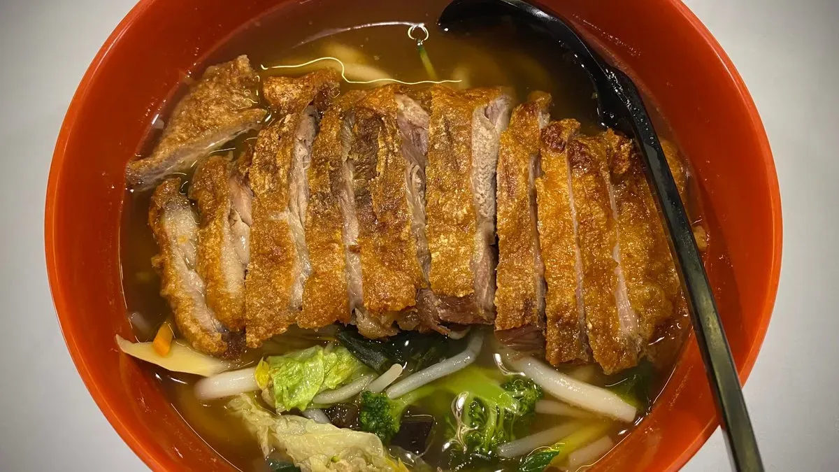 Duck Udon