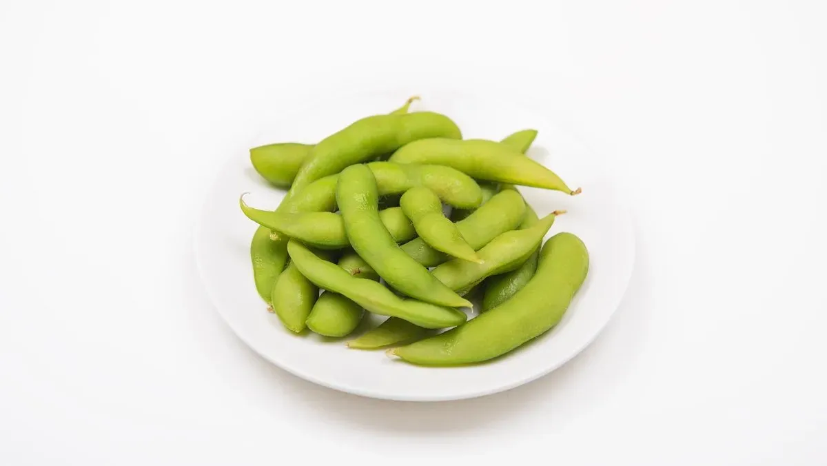 CC2##Zöldbab-Edamame