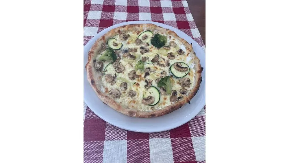 Urbino (26 cm)