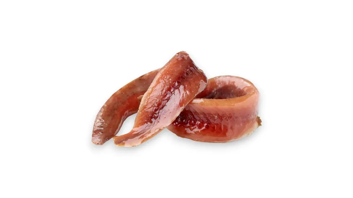 Acchiughe del cantabrico