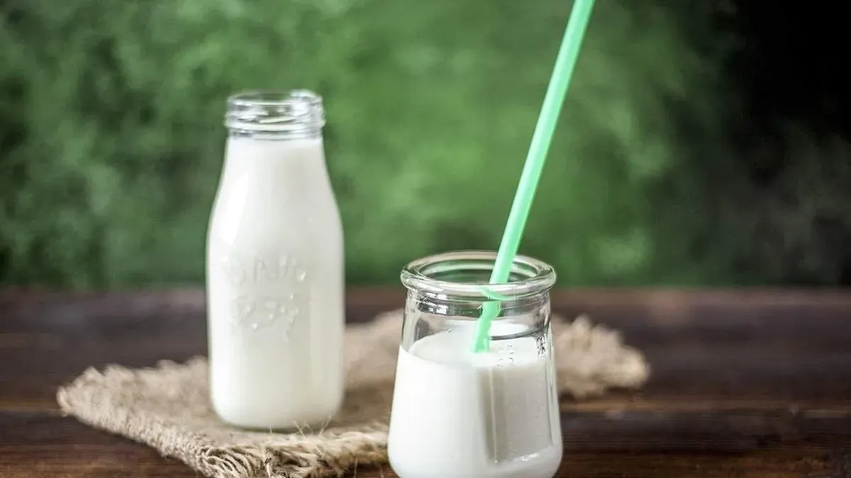 Ayran