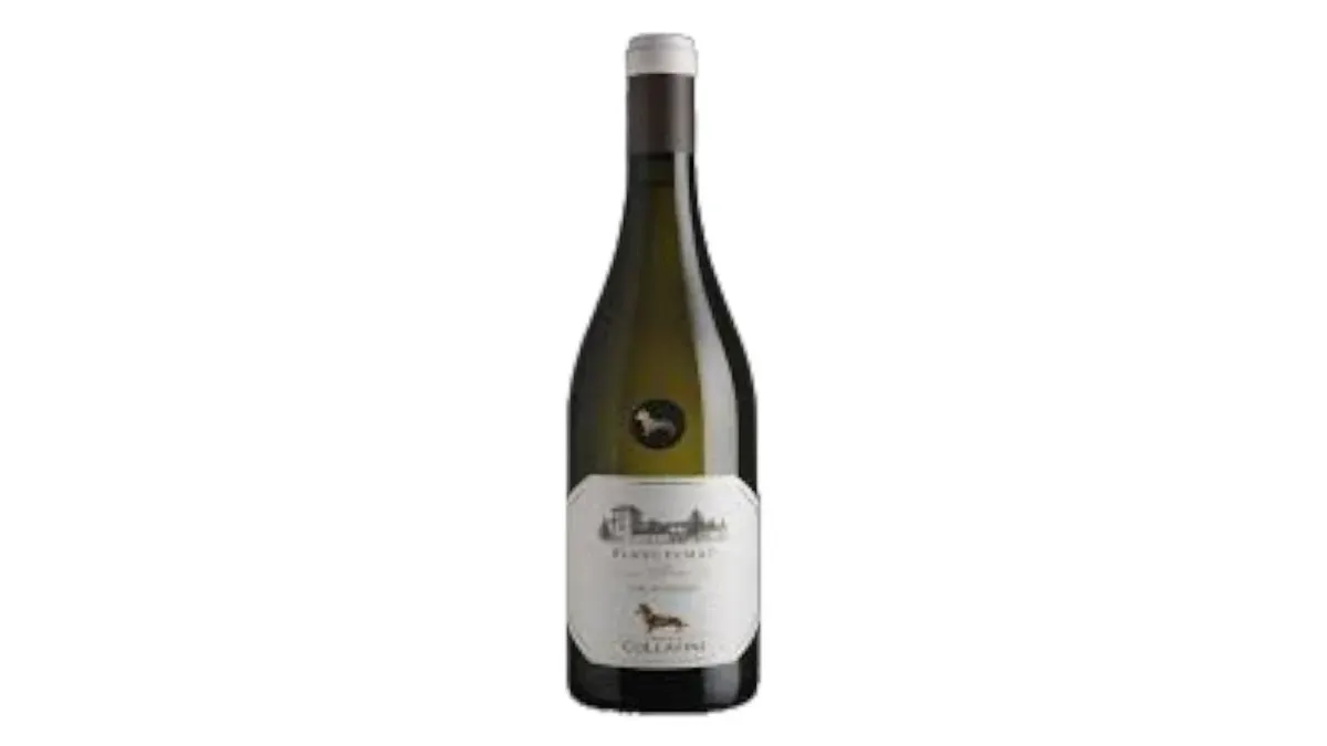Collavini Sauvignon 2020