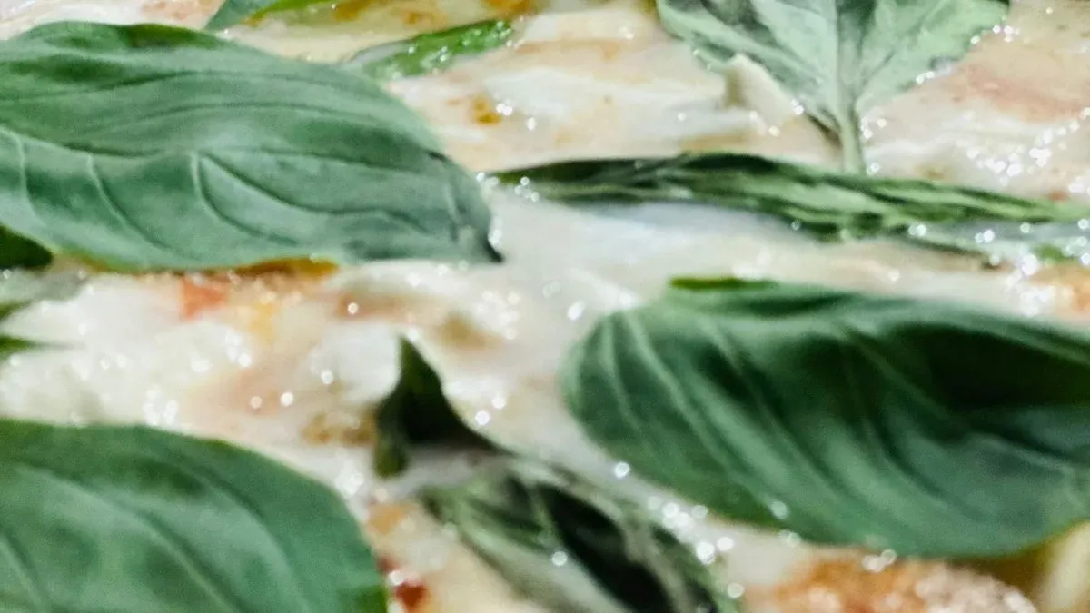 Delizia Pizza