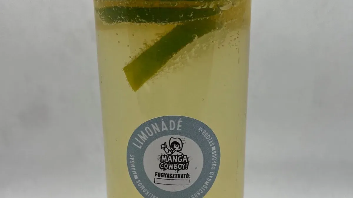 Bodzás limonádé 500ml