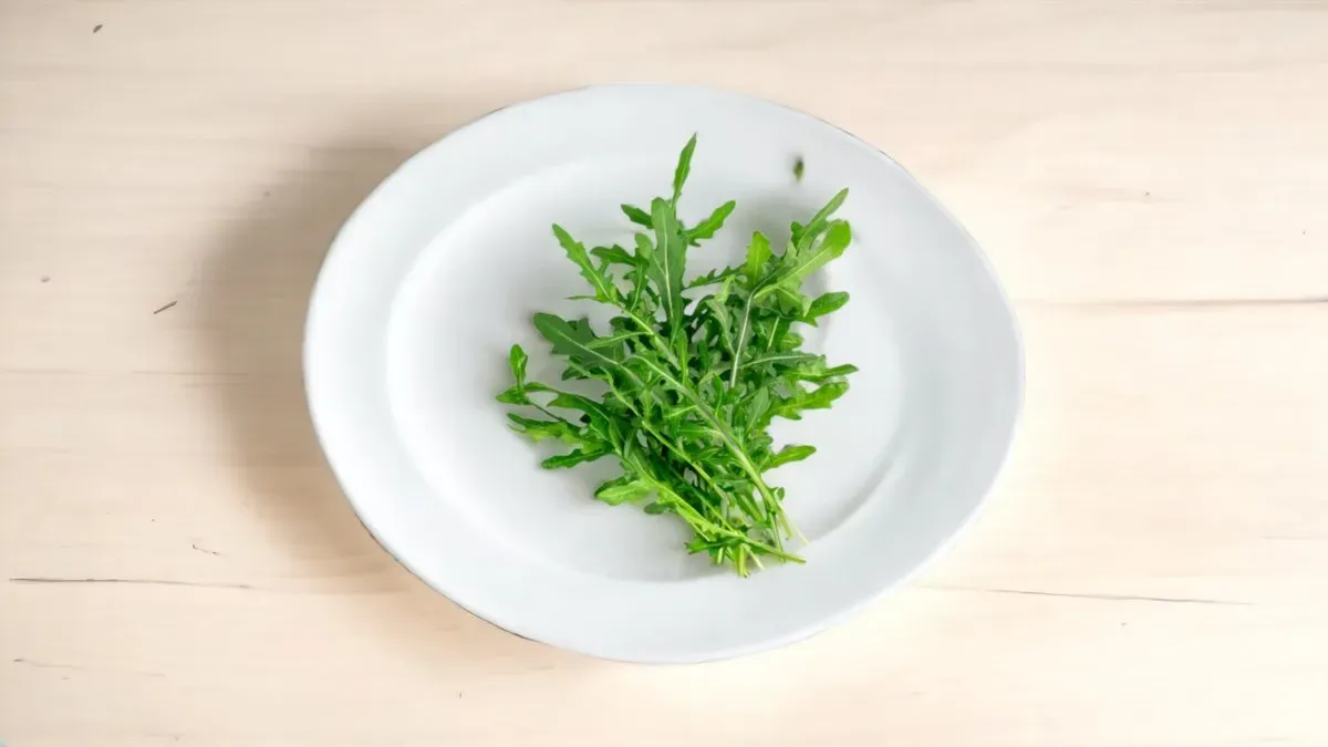 Ruccola