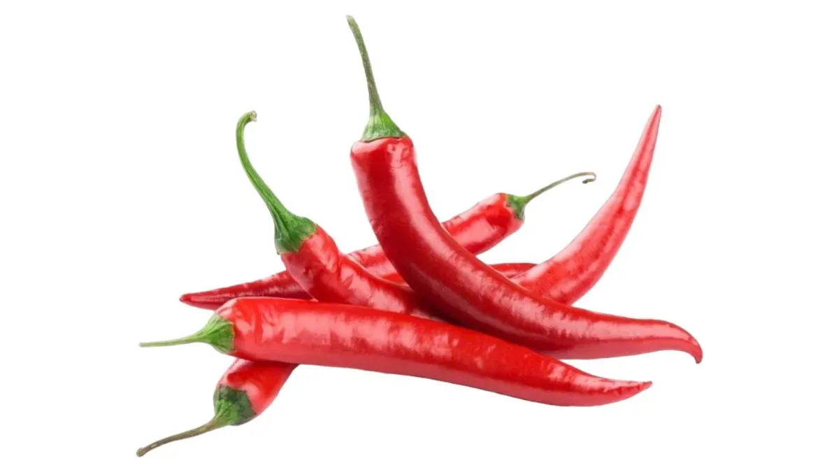 Friss chili