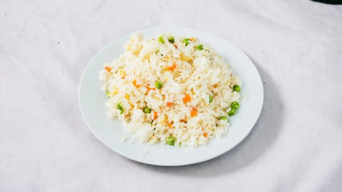 H0 Vegetarian fried rice