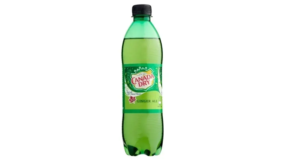 Canada Dry (0,5l)