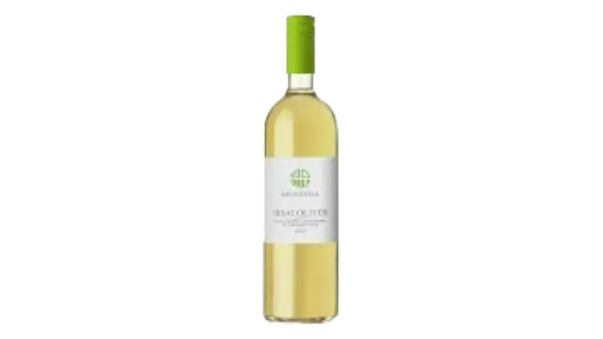 Kúcs Gyula Irsai Olivér 2019 Pécs