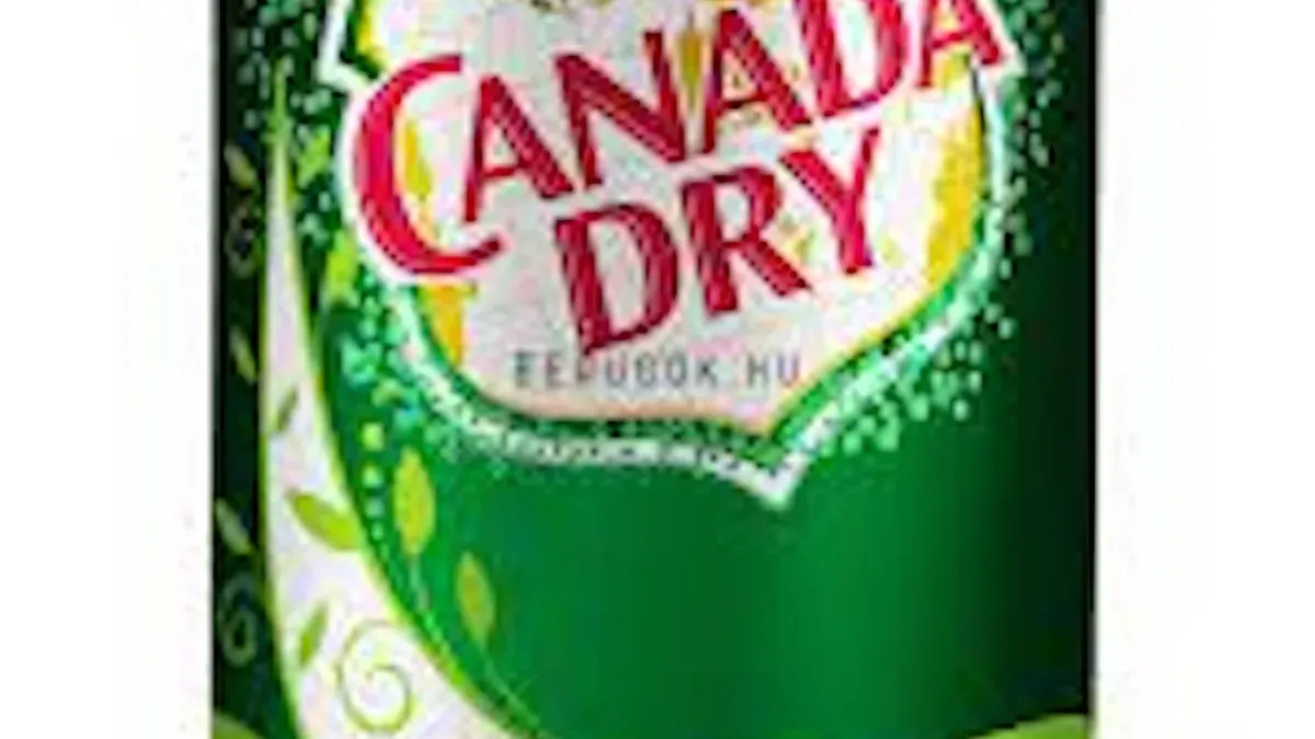 Canada Dry 0,33l