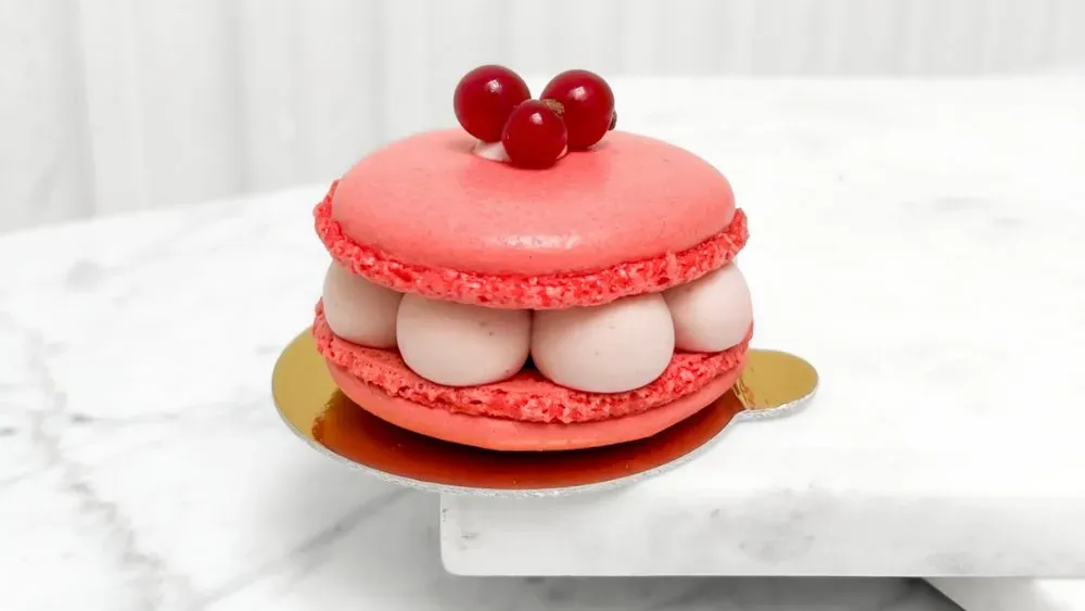 Ribizlis macaron (G)