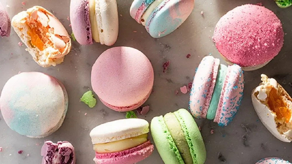 WILD BERRY YOGHURT MACARON
