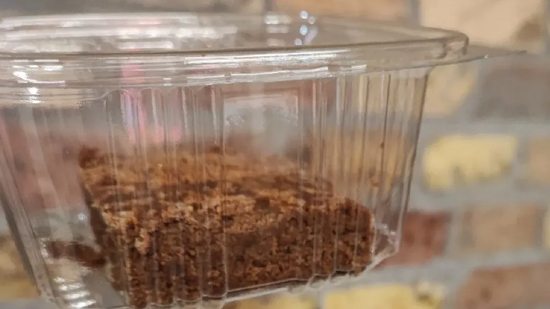 Brownie