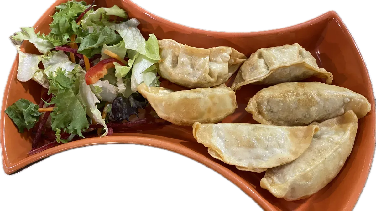 VEGA GYOZA