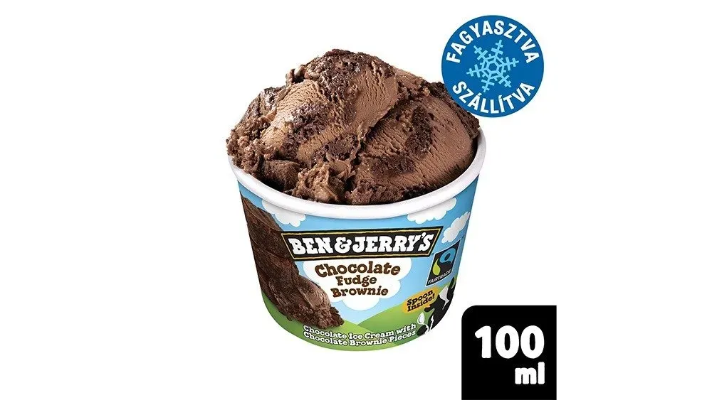 Ben & Jerry's Chocolate Fudge Brownie Ice Cream 100ml