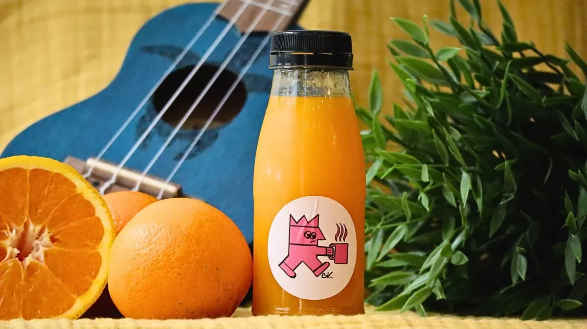 fresh orange 2.5dl