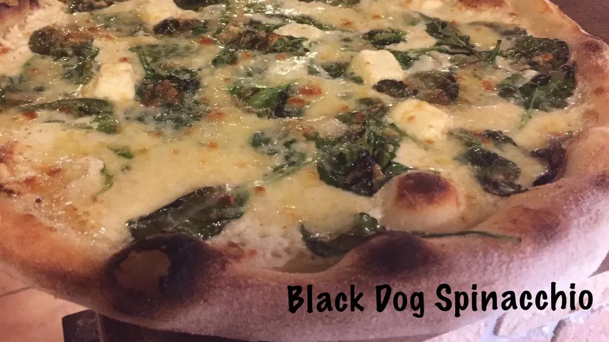 Black Dog Spinacchio