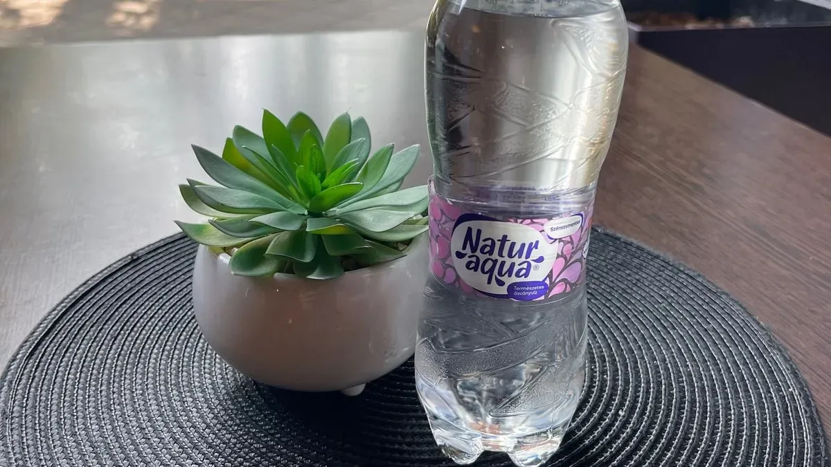 Naturaqua 0,5L - Mentes Víz
