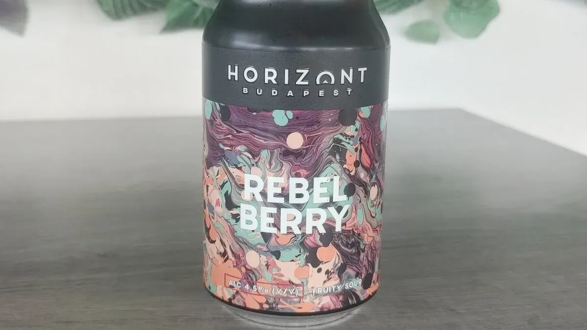 Horizont Rebel Berry Fruit Sour-330ml